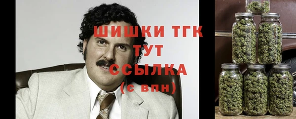 ГАЛЛЮЦИНОГЕННЫЕ ГРИБЫ Баксан