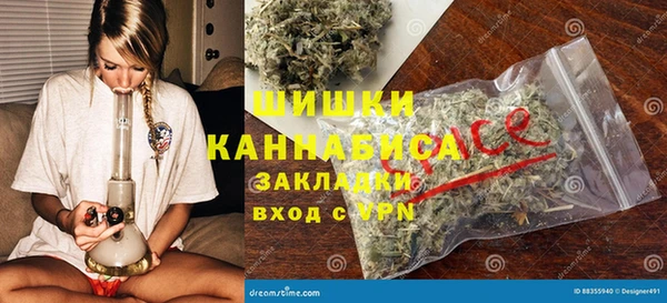 гашик Аркадак