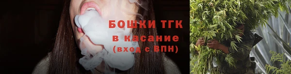 гашик Аркадак