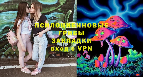 гашик Аркадак