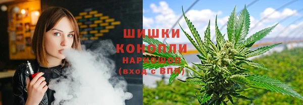 гашик Аркадак
