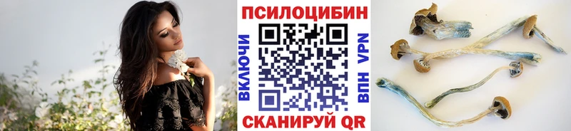 Галлюциногенные грибы MAGIC MUSHROOMS  гидра ССЫЛКА  Калининец 